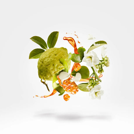 Xerjoff Naxos Eau de Parfum in , Perfumes by Xerjoff. Merkmale: . Verfügbar bei ParfümReich.