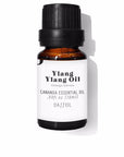 DAFFOIL ACEITE ESENCIAL ylang ylang in 10 ml , Home by DAFFOIL. Merkmale: . Verfügbar bei ParfümReich.
