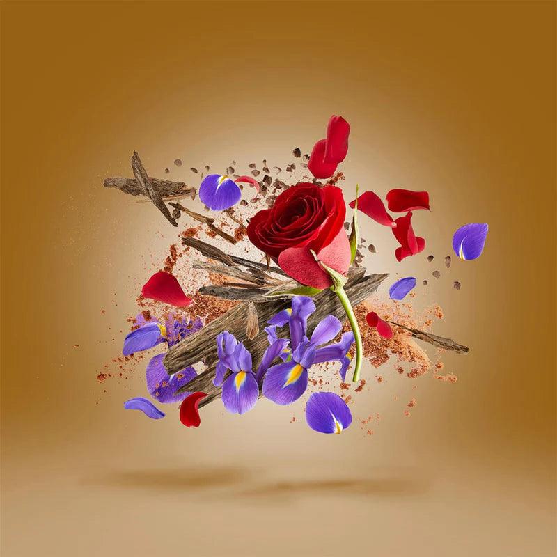 Xerjoff Oud Stars Alexandria Orientale Eau de Parfum 50 ml in , Perfumes by Xerjoff. Merkmale: . Verfügbar bei ParfümReich.