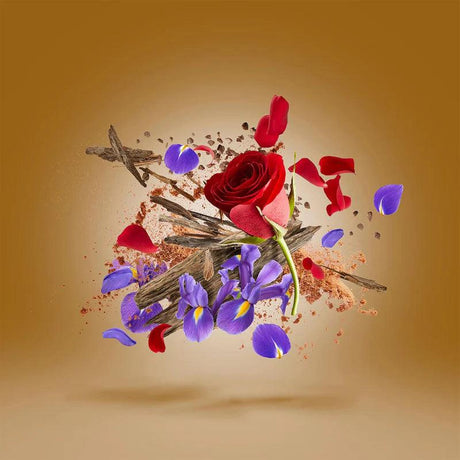 Xerjoff Oud Stars Alexandria Orientale Eau de Parfum 50 ml in , Perfumes by Xerjoff. Merkmale: . Verfügbar bei ParfümReich.