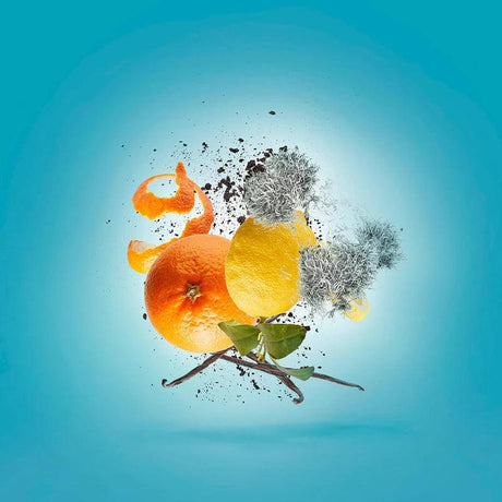 Xerjoff V Erba Pura Eau de Parfum in , Perfumes by Xerjoff. Merkmale: . Verfügbar bei ParfümReich.