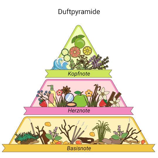 Die Duftpyramide erklärt: Kopfnote, Herznote, Basisnote | ParfümReich
