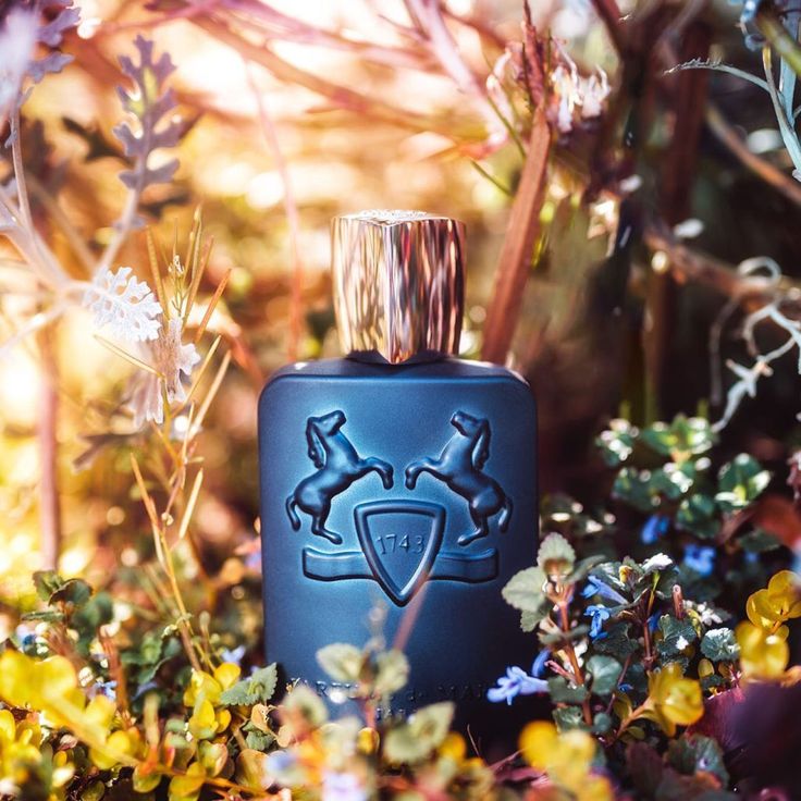 Die Parfums de Marly Kollektion verbindet französische Luxusparfums mit historischen Dufttraditionen. Inspiriert vom königlichen Frankreich des 18. Jahrhunderts, stehen die edlen Kreationen für Eleganz, Raffinesse und zeitlose Duftkompositionen mit holzigen, würzigen und frischen Noten.