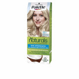 PALETTE PALETTE NATURAL tinte in 12.1 - Extra Light Ash Blonde , Hair by PALETTE. Merkmale: . Verfügbar bei ParfümReich.